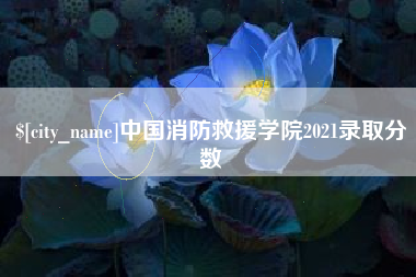 沁阳中国消防救援学院2021录取分数