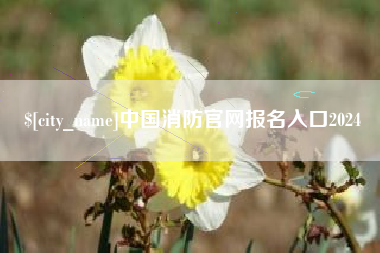 沁阳中国消防官网报名入口2024