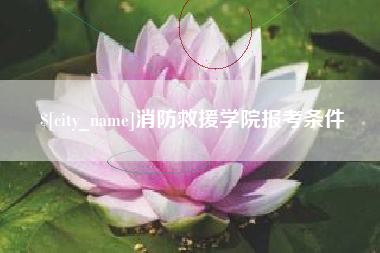 沁阳消防救援学院报考条件