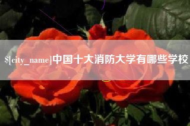 沁阳中国十大消防大学有哪些学校