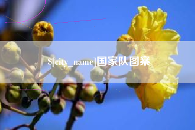 沁阳国家队图案
