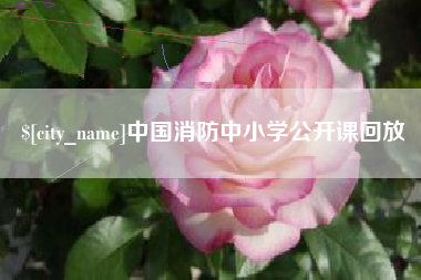 沁阳中国消防中小学公开课回放