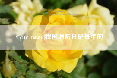 沁阳我国消防日是每年的