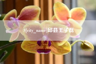 沁阳邱县王子磊