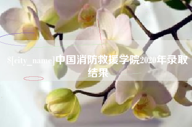 沁阳中国消防救援学院2020年录取结果
