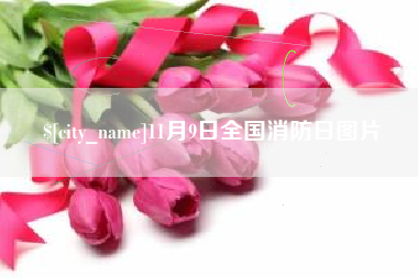 沁阳11月9日全国消防日图片