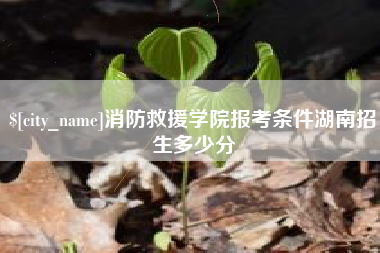 沁阳消防救援学院报考条件湖南招生多少分