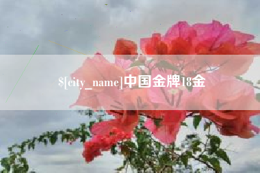 沁阳中国金牌18金