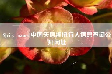 沁阳中国失信被执行人信息查询公开网址