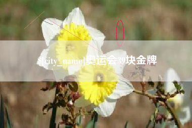 沁阳奥运会39块金牌