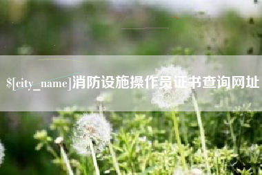 沁阳消防设施操作员证书查询网址