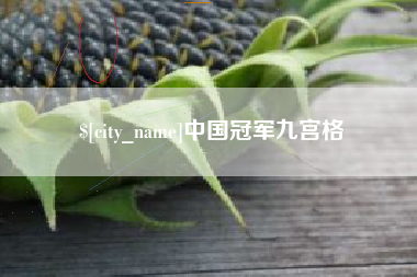 沁阳中国冠军九宫格