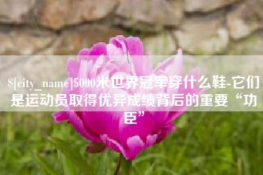 沁阳5000米世界冠军穿什么鞋-它们是运动员取得优异成绩背后的重要“功臣”