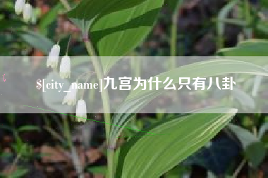 沁阳九宫为什么只有八卦