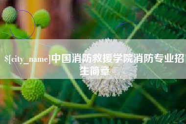 沁阳中国消防救援学院消防专业招生简章