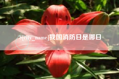 沁阳我国消防日是哪日