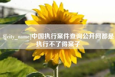 沁阳中国执行案件查询公开网都是执行不了得案子