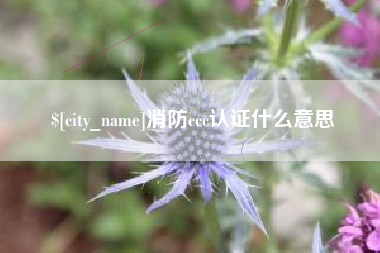 沁阳消防ccc认证什么意思