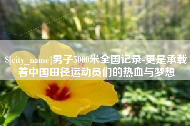 沁阳男子5000米全国记录-更是承载着中国田径运动员们的热血与梦想