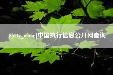 沁阳中国执行信息公开网查询