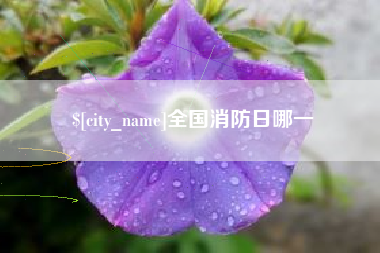 沁阳全国消防日哪一
