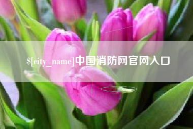 沁阳中国消防网官网入口