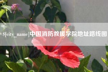 沁阳中国消防救援学院地址路线图