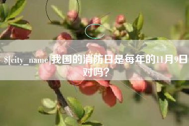 沁阳我国的消防日是每年的11月9日对吗？