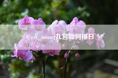 沁阳九宫如何排日