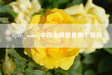 沁阳中国金牌都是哪个项目