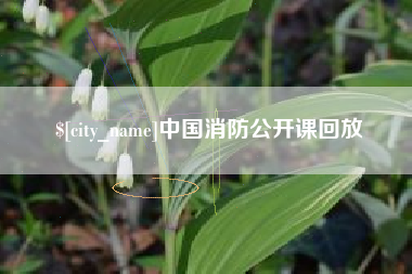 沁阳中国消防公开课回放