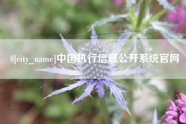 沁阳中国执行信息公开系统官网