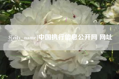 沁阳中国执行信息公开网 网址