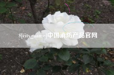 沁阳中国消防产品官网