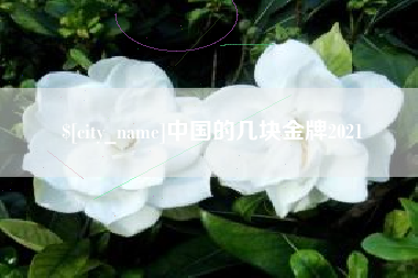 沁阳中国的几块金牌2021