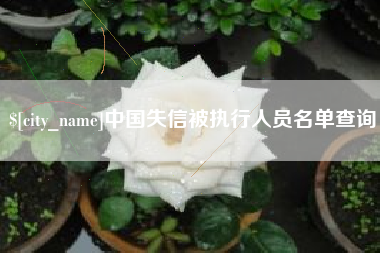 沁阳中国失信被执行人员名单查询