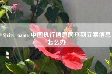 沁阳中国执行信息网查到立案信息怎么办