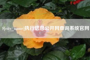 沁阳执行信息公开网查询系统官网