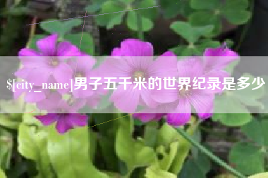 沁阳男子五千米的世界纪录是多少