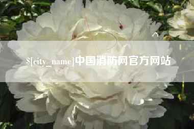 沁阳中国消防网官方网站