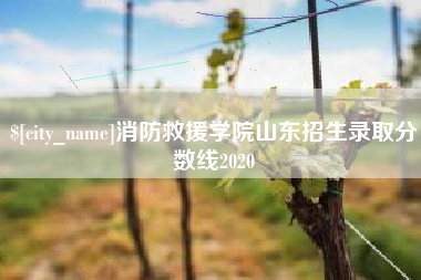 沁阳消防救援学院山东招生录取分数线2020