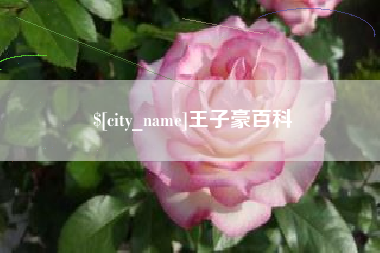 沁阳王子豪百科