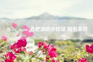 沁阳合肥消防中控证 报名条件