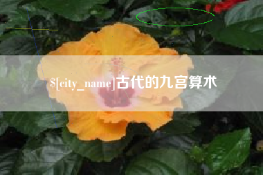 沁阳古代的九宫算术