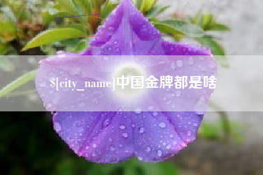 沁阳中国金牌都是啥