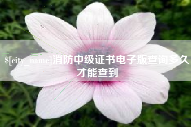 沁阳消防中级证书电子版查询多久才能查到