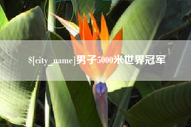 沁阳男子5000米世界冠军