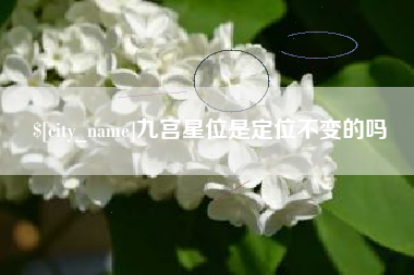 沁阳九宫星位是定位不变的吗
