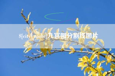 沁阳九宫图分割线图片