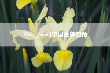 沁阳中国金牌包括